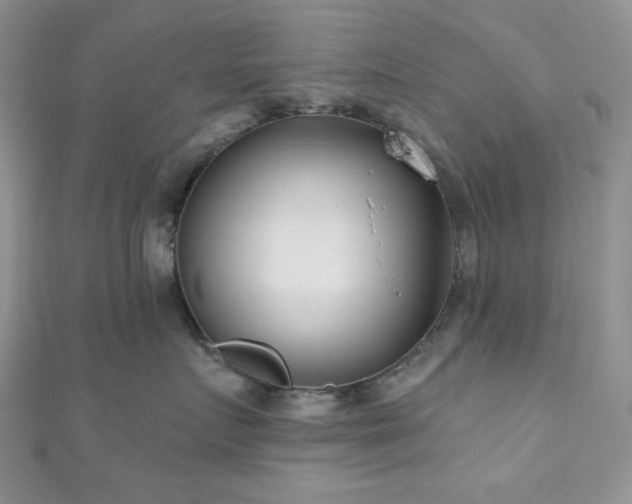 X0000110920719200906181409