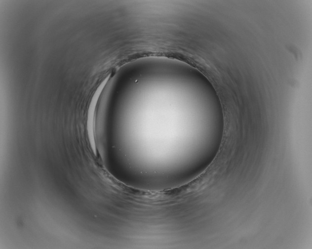 X0000110920720200906181409