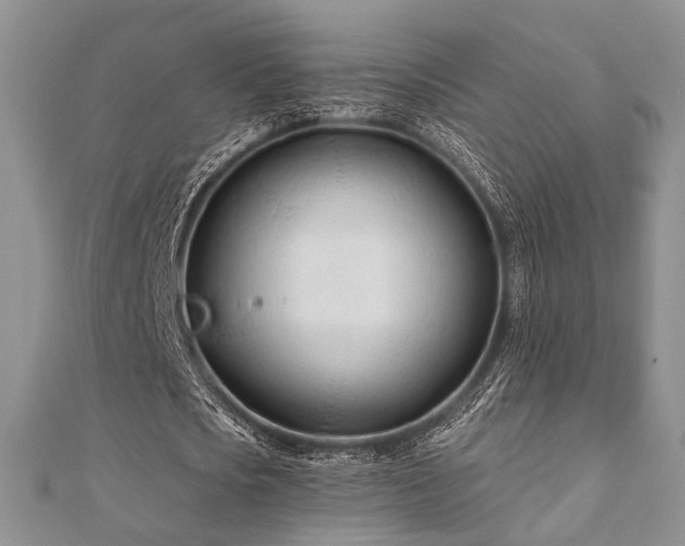 X0000110920721200906181408
