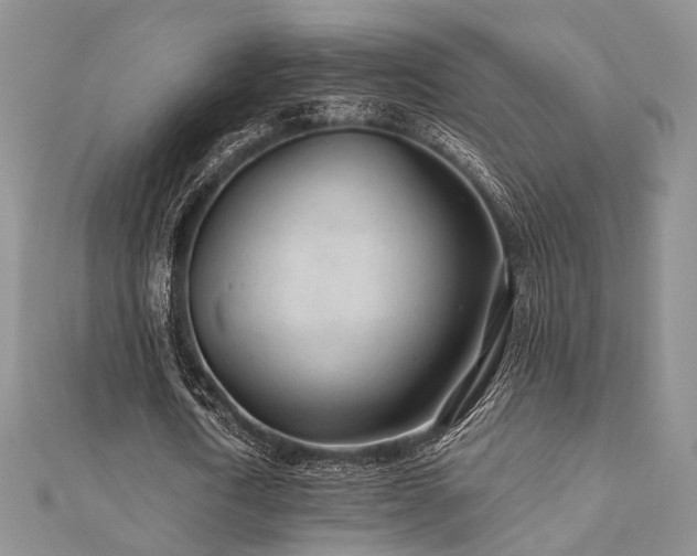 X0000110920722200906181408