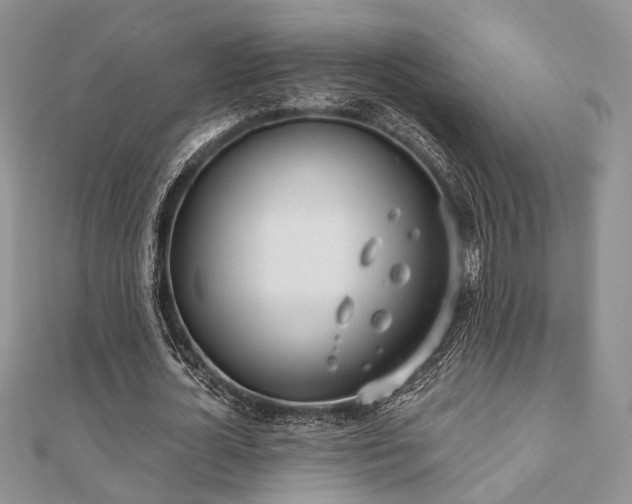 X0000110920724200906181408
