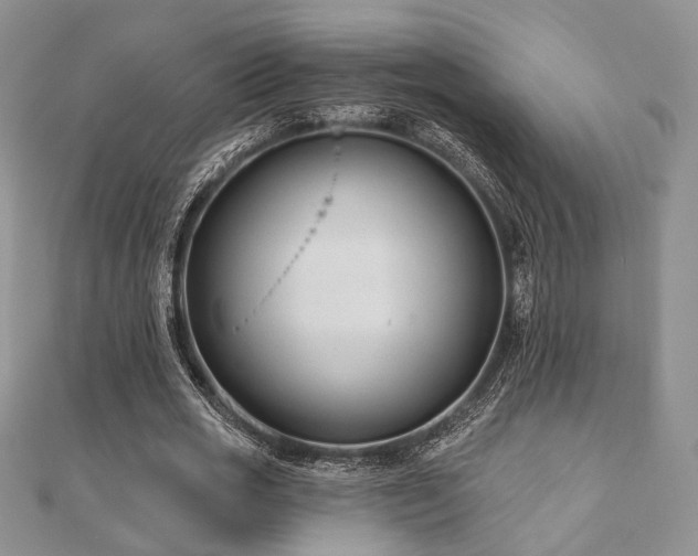 X0000110920725200906181408