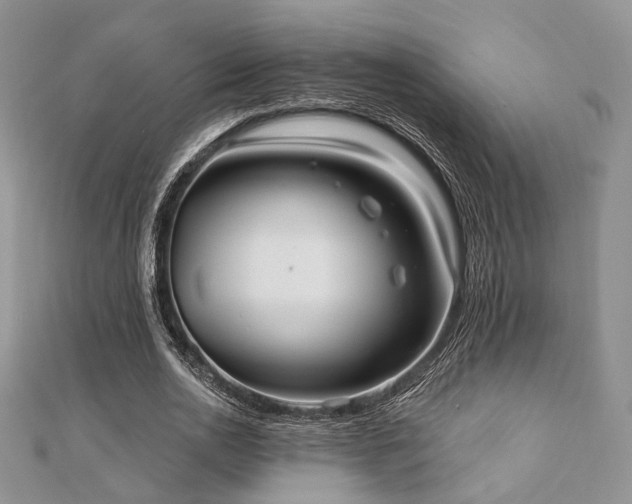 X0000110920726200906181408
