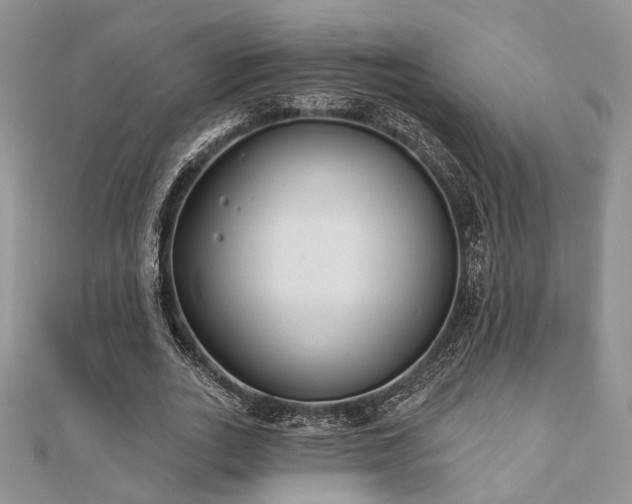 X0000110920727200906181408