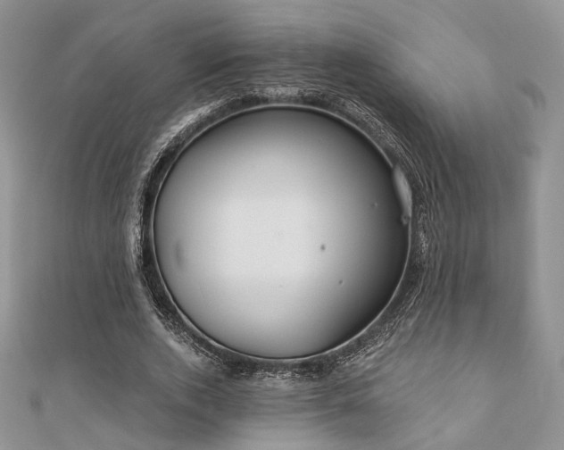 X0000110920728200906181408