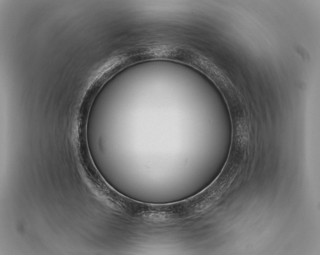 X0000110920730200906181408