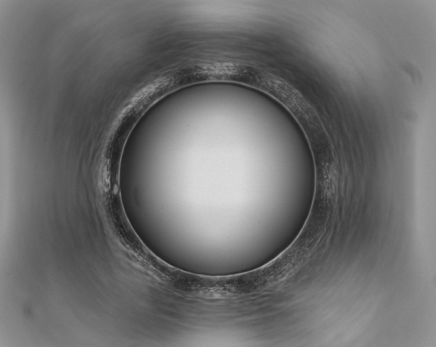 X0000110920731200906181408