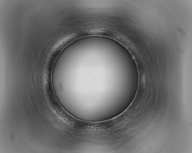 X0000110920732200906181408
