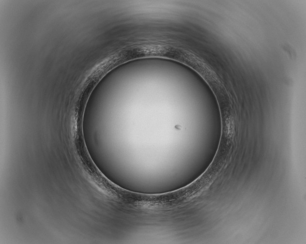 X0000110920733200906181408