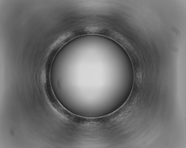 X0000110920734200906181408