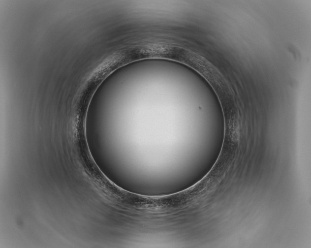 X0000110920735200906181408