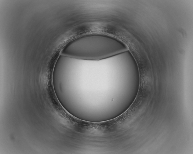 X0000110920736200906181408