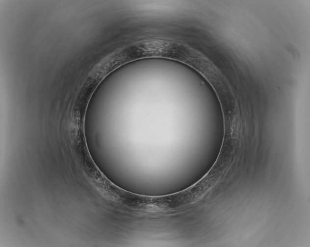 X0000110920737200906181408
