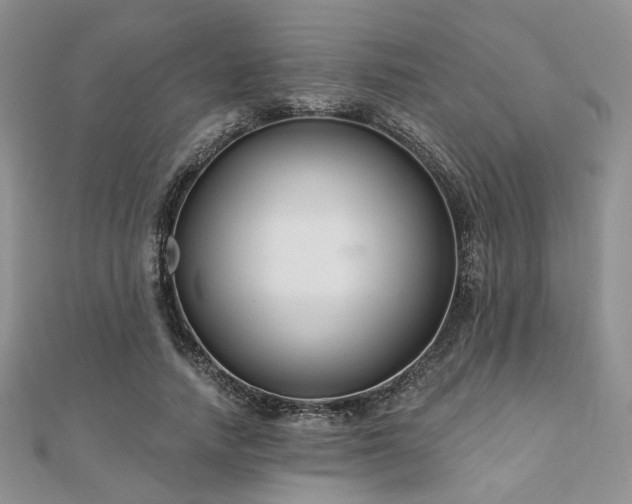 X0000110920738200906181408