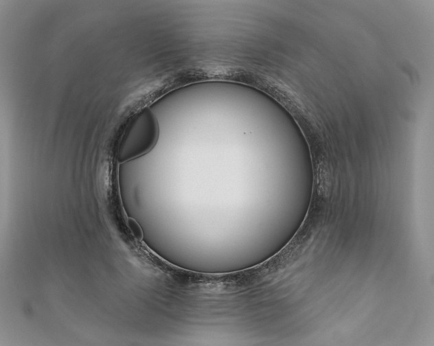 X0000110920740200906181408