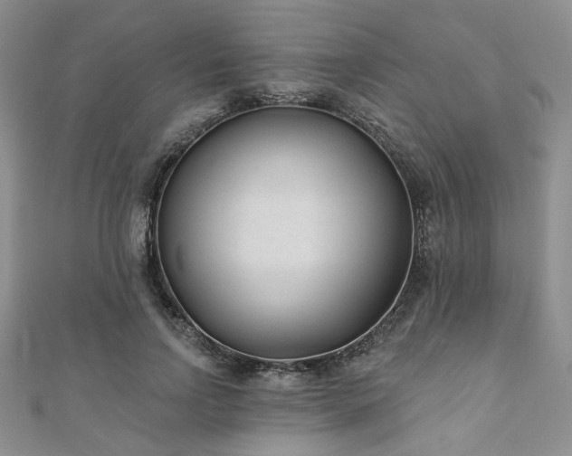 X0000110920742200906181408