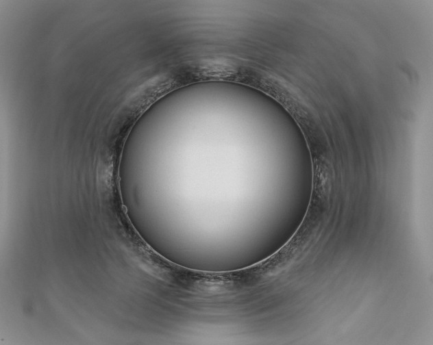 X0000110920745200906181408