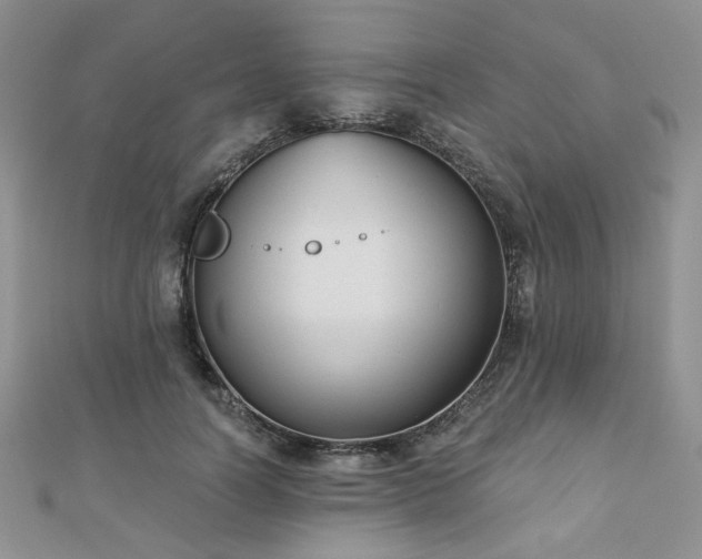 X0000110920746200906181408