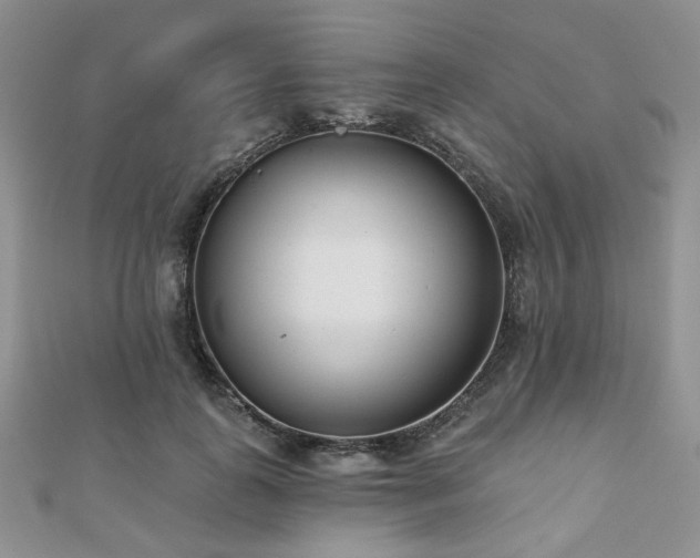 X0000110920747200906181408