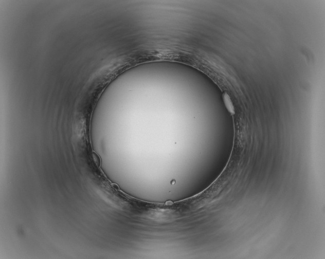 X0000110920748200906181408
