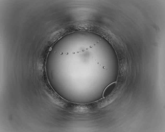 X0000110920749200906181408
