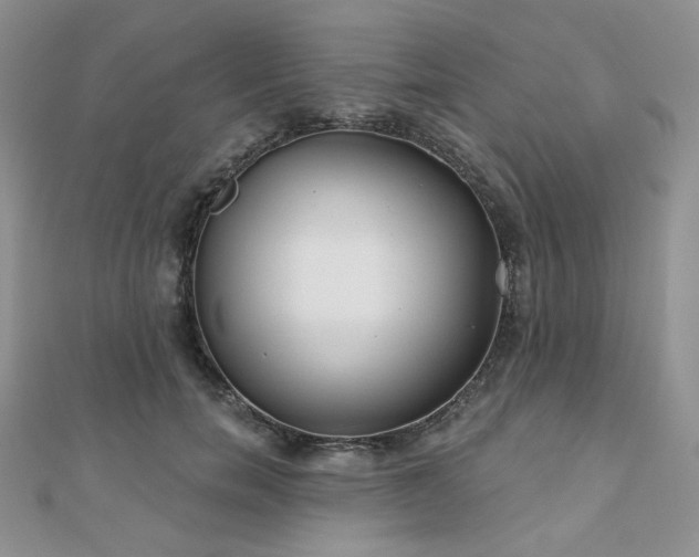 X0000110920750200906181408