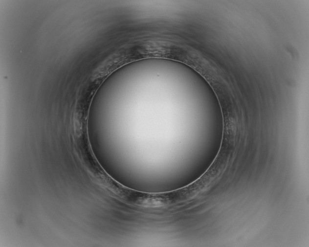 X0000110920751200906181408