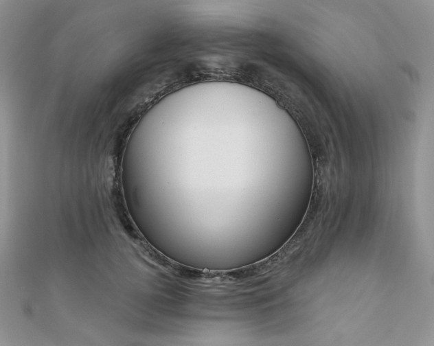 X0000110920752200906181408