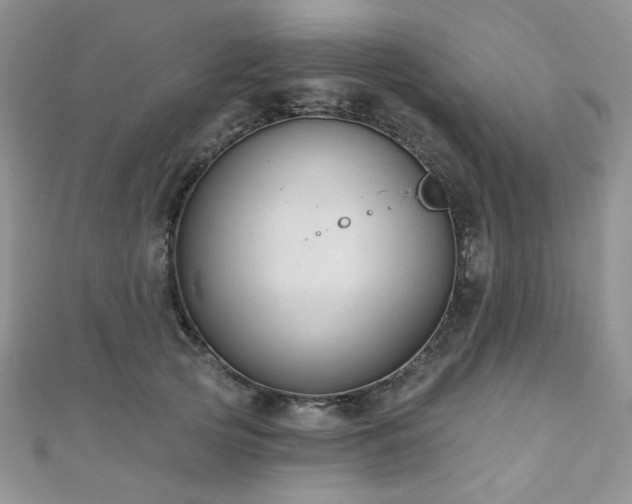 X0000110920753200906181408