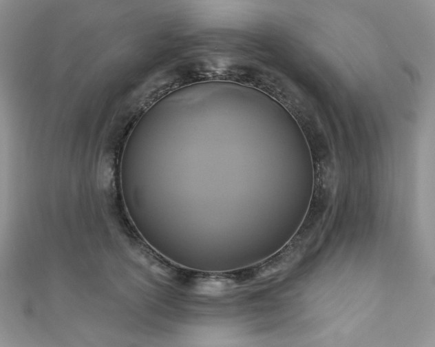 X0000110920754200906181408