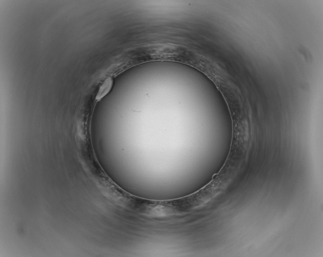 X0000110920755200906181408