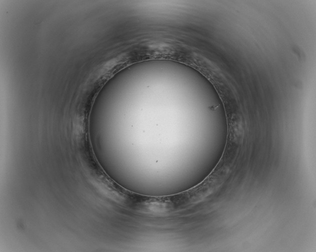 X0000110920756200906181408