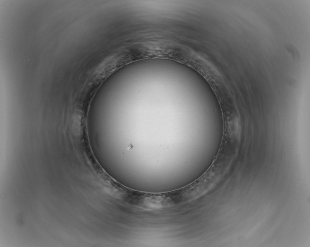 X0000110920757200906181408