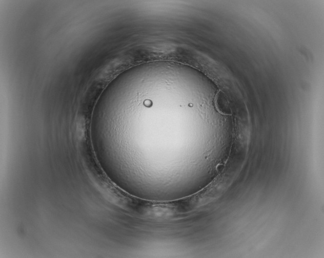 X0000110920758200906181408