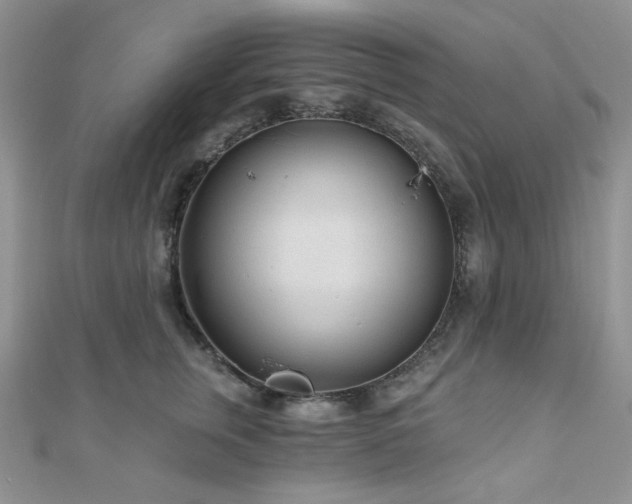 X0000110920759200906181408