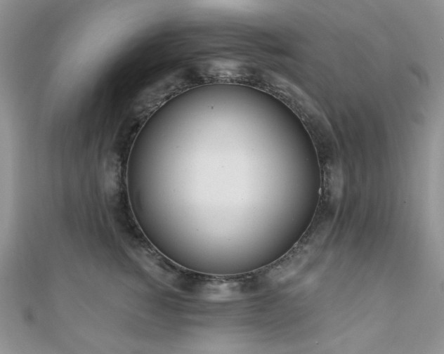 X0000110920760200906181408