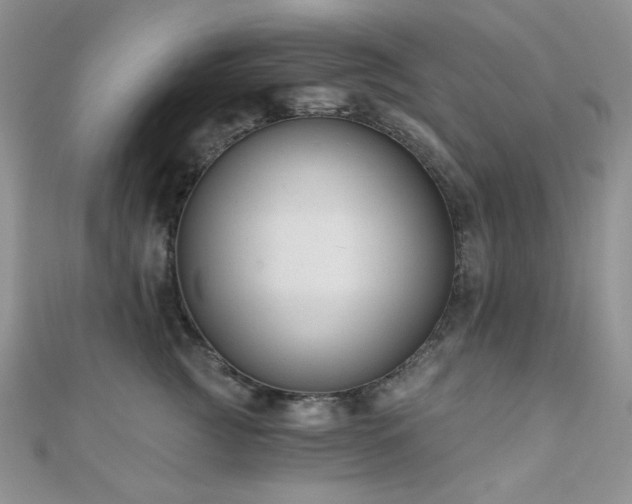 X0000110920761200906181408