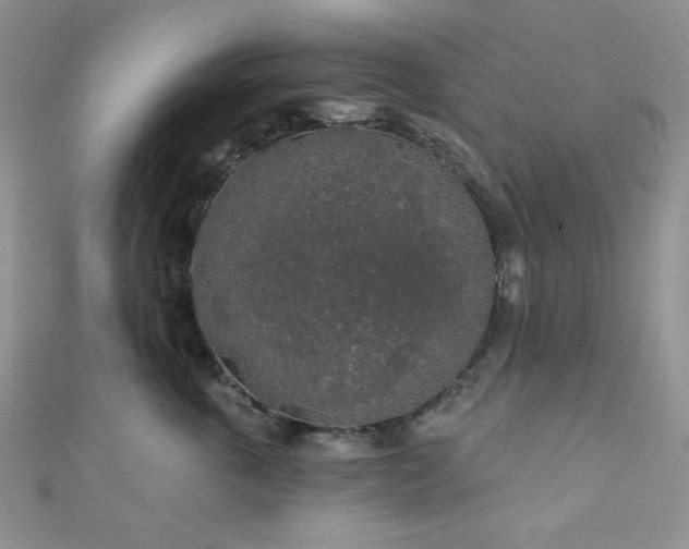 X0000110920763200906181409