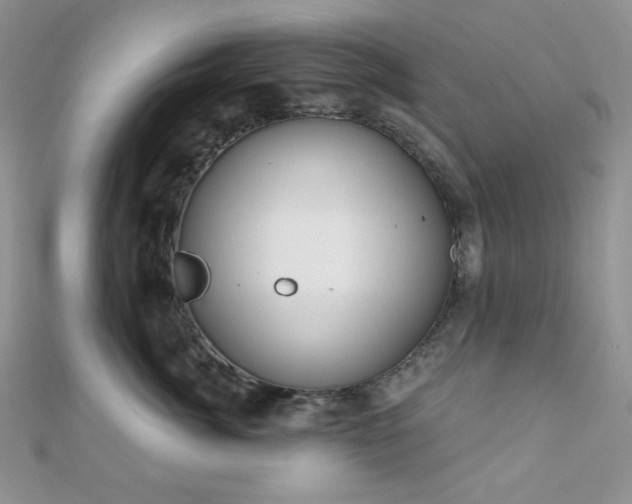 X0000110920764200906181409
