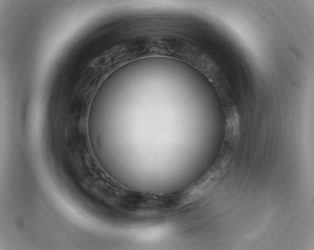 X0000110920765200906181409