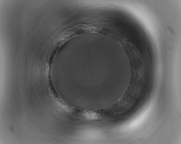 X0000110920767200906181409