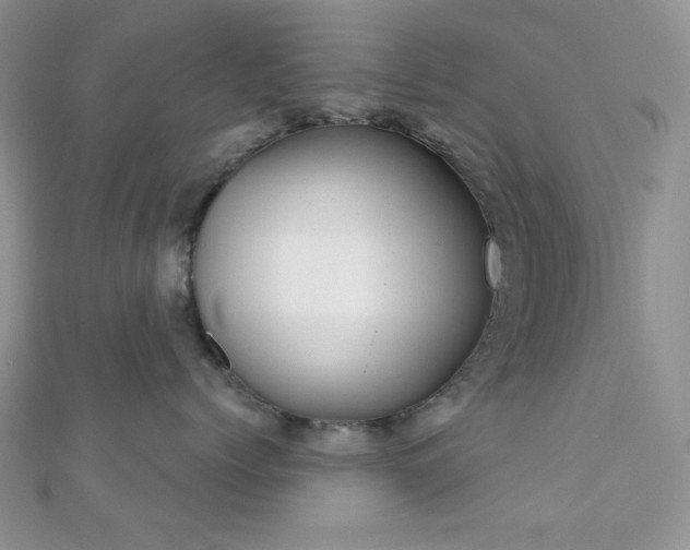 X0000110920768200906181409