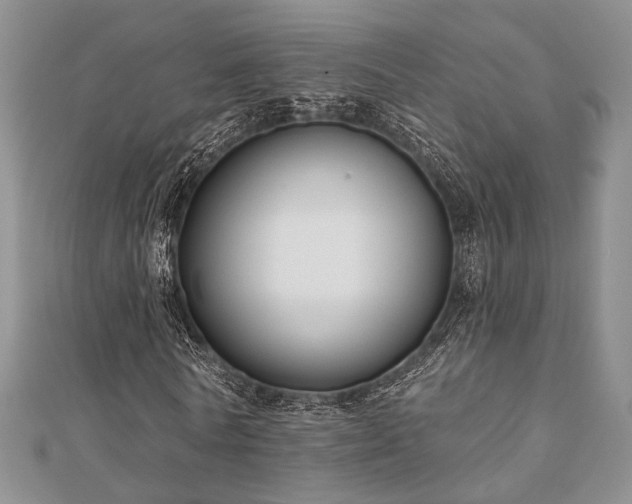 X0000110920770200906181408