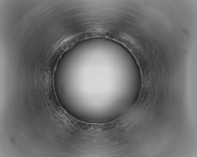 X0000110920773200906181408