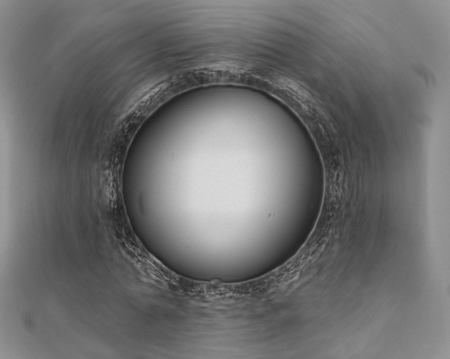 X0000110920774200906181408