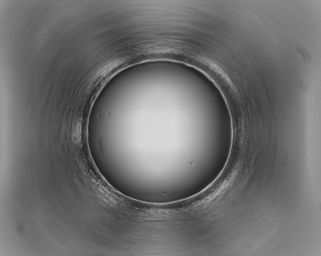 X0000110920777200906181408