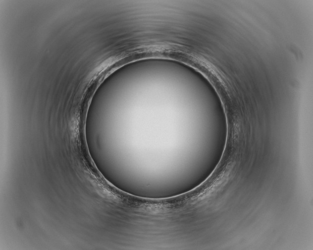 X0000110920778200906181408