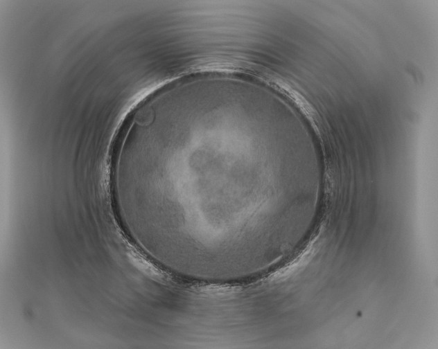 X0000110920779200906181408