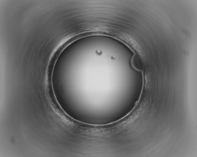 X0000110920780200906181408