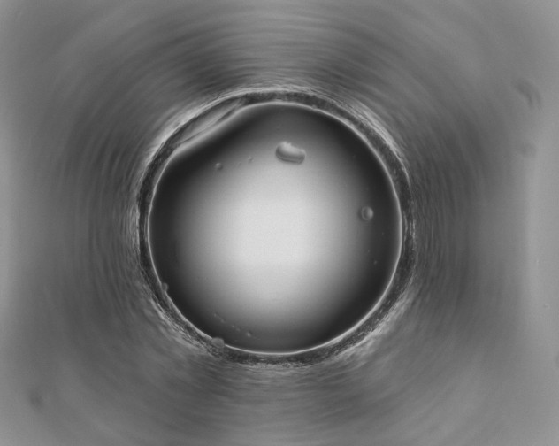 X0000110920781200906181408